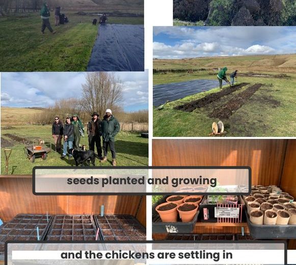 A composite image that comprises of people creating raised beds and planting seeds, plant pot nursery seedlings, fluffy chicks and a chicken coop that is shaped like a human's house.